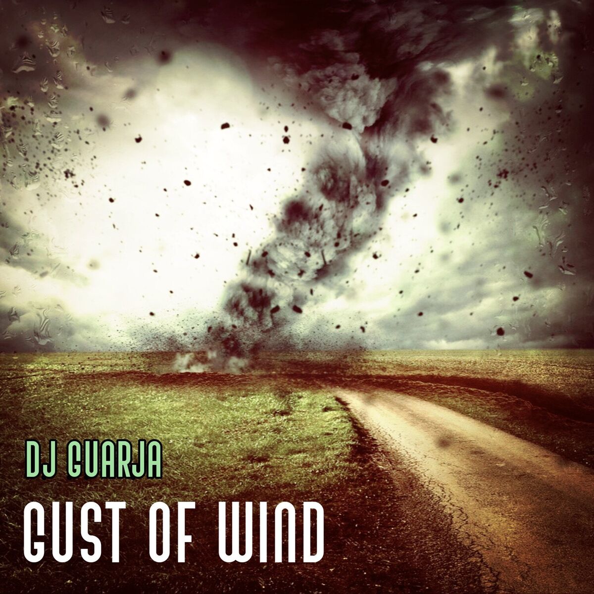 Album cover of Gust Of Wind