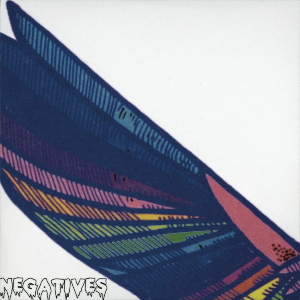 Picture of Negatives