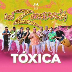 Cover of Tóxica