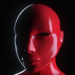 Cover of IDFKA