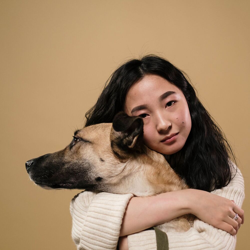 Picture of Pet Serenity: Chill Fire Soundscapes