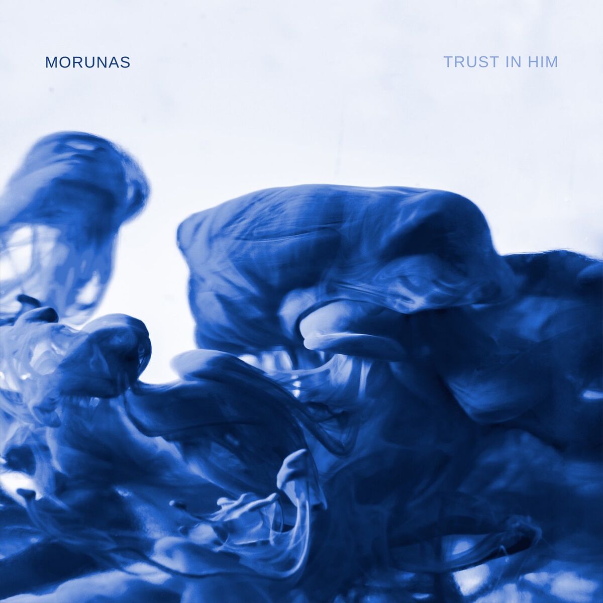 Album cover of Trust in Him