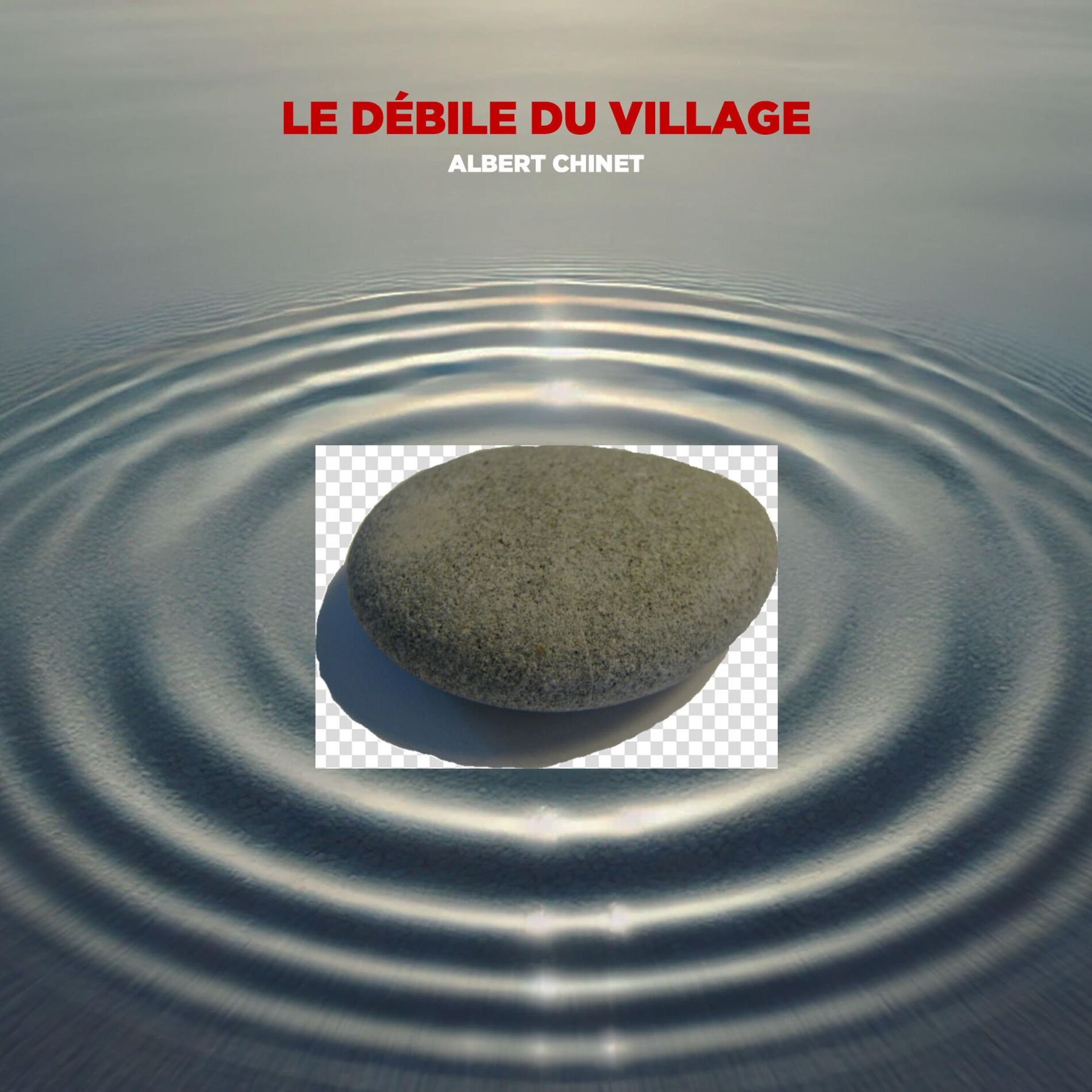 Album cover of Le débile du village