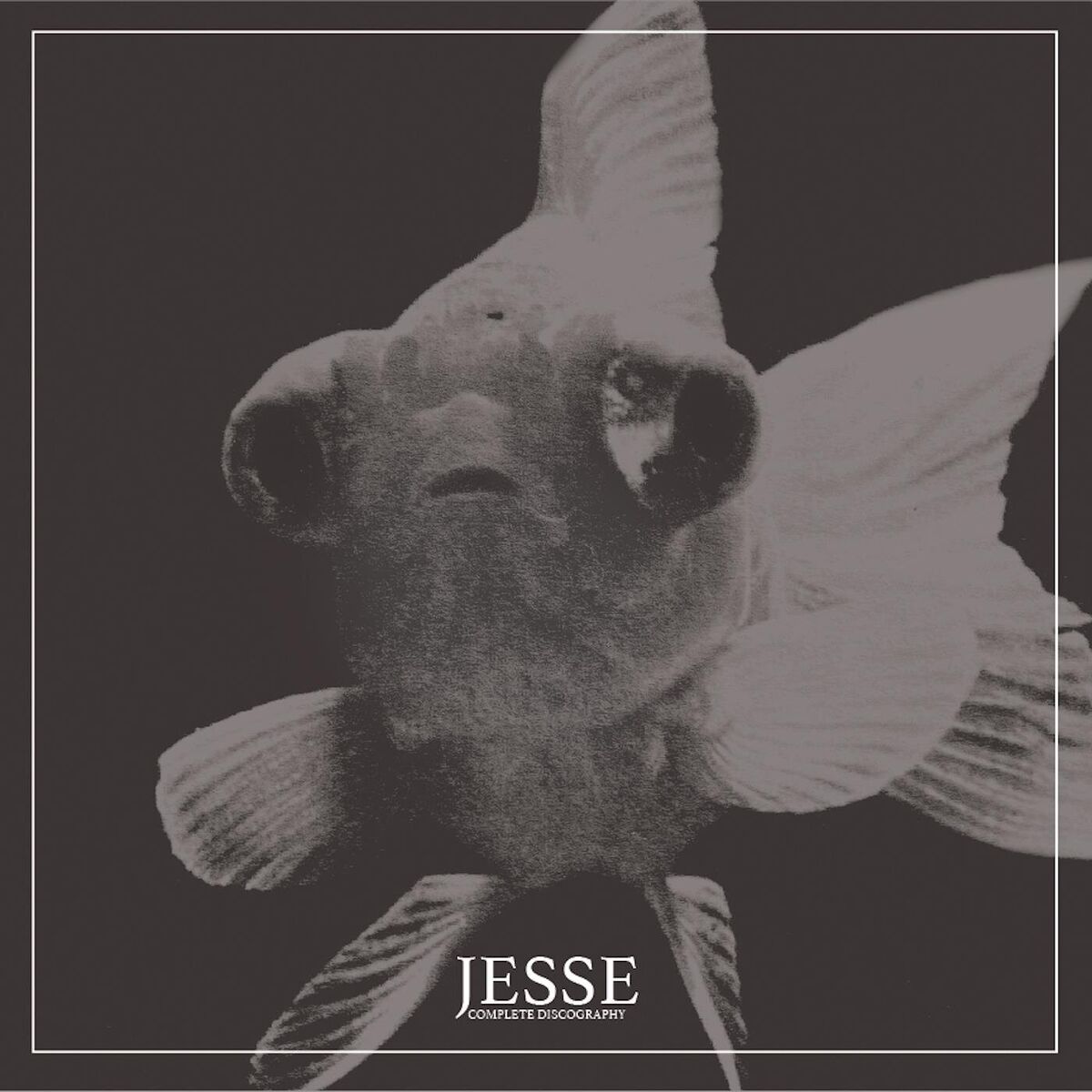 Album cover of Jesse Complete Discography