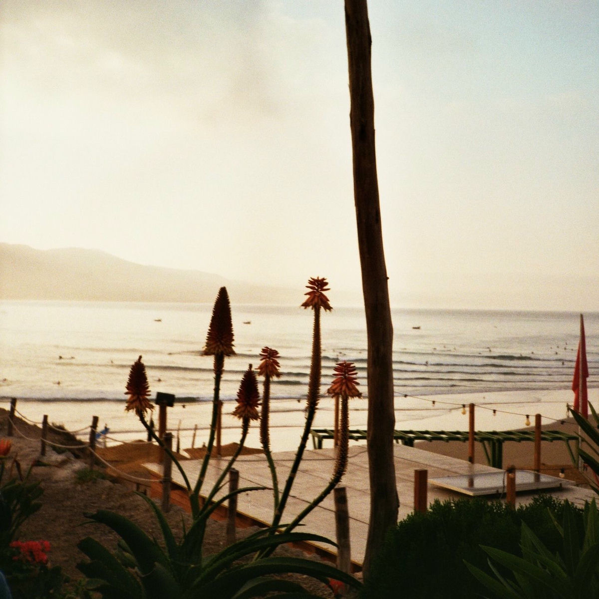 Album cover of The Only