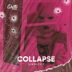 Cover of Collapse