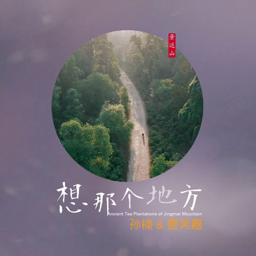 想那个地方 (景迈山)