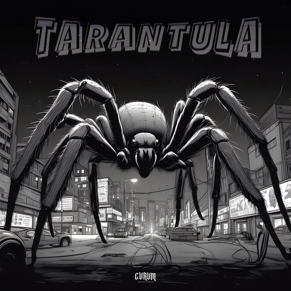 Picture of Tarantula