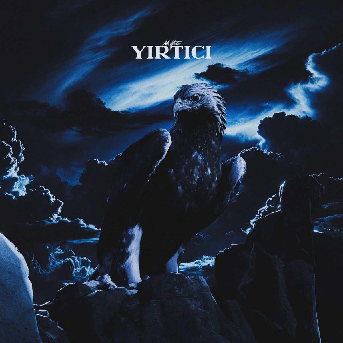 Album cover of YIRTICI