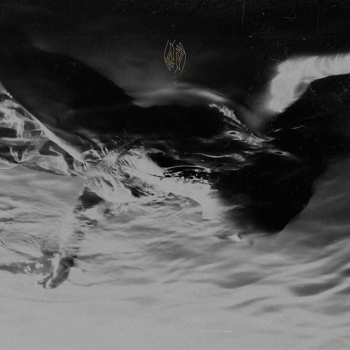 Album cover of Coma Year