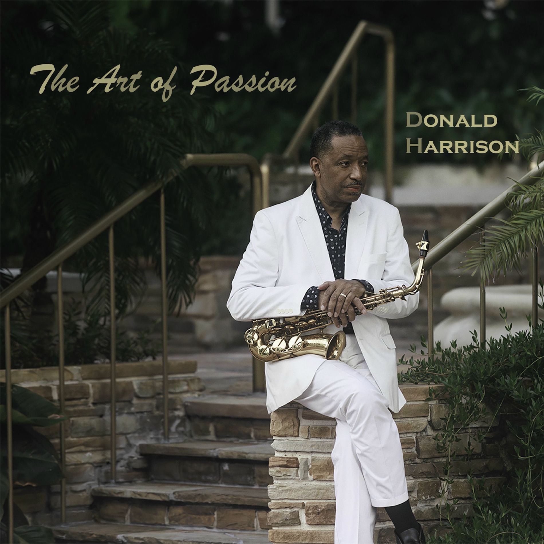 Album cover of The Art Of Passion