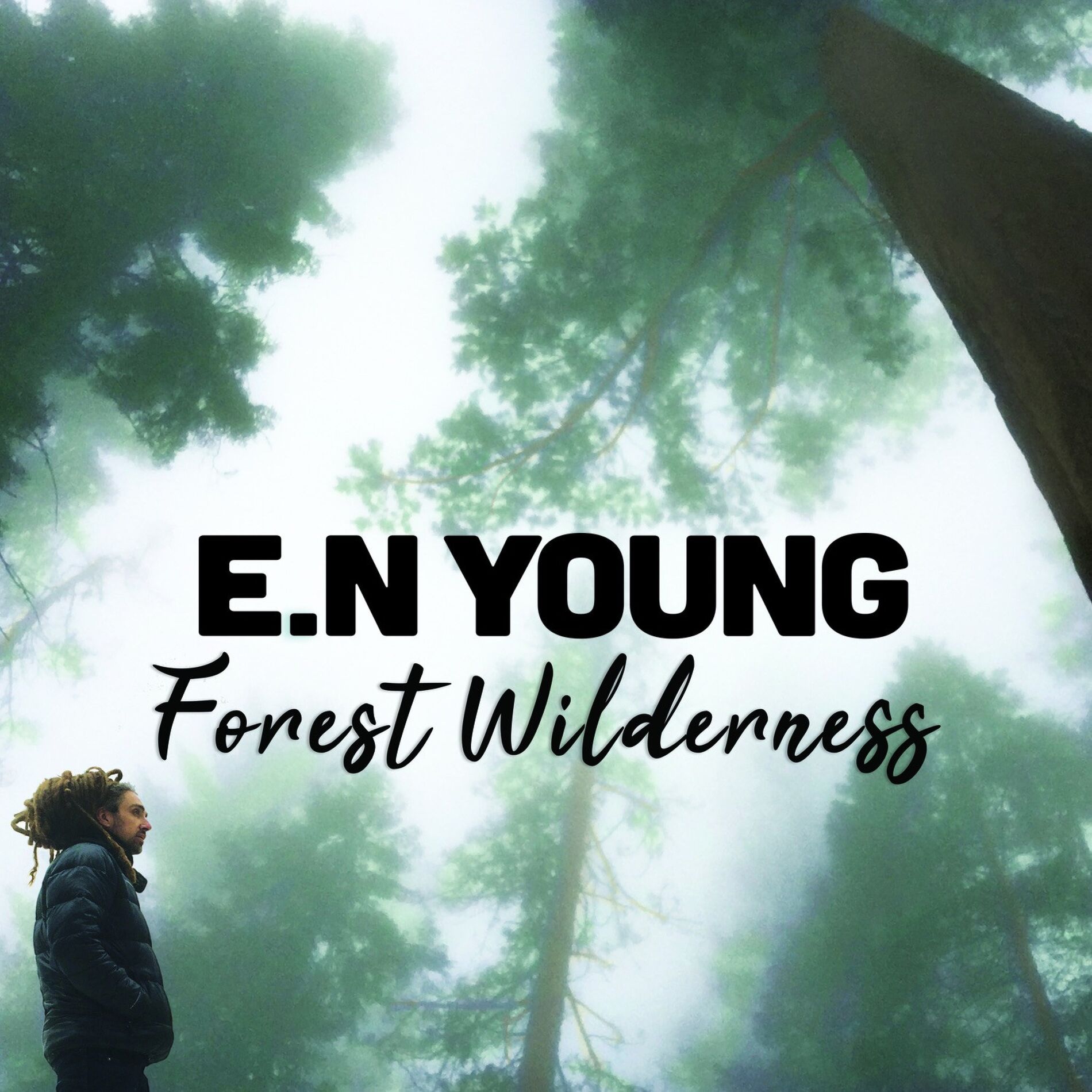 Album cover of Forest Wilderness