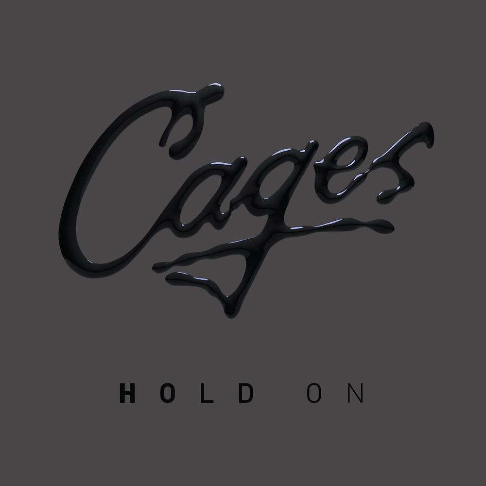 Picture of Hold On