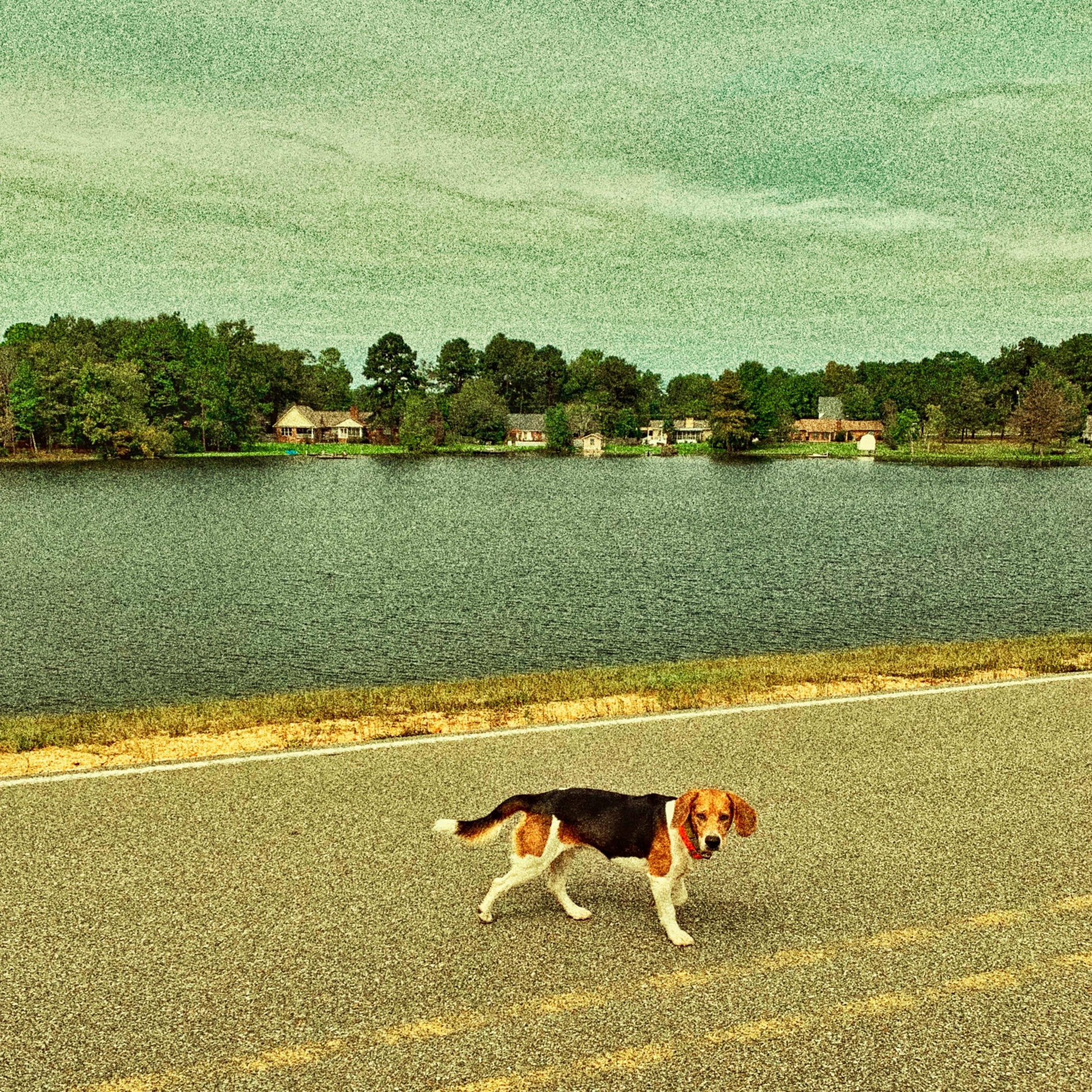 Album cover of The Bay