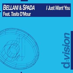 Cover of I Just Want You