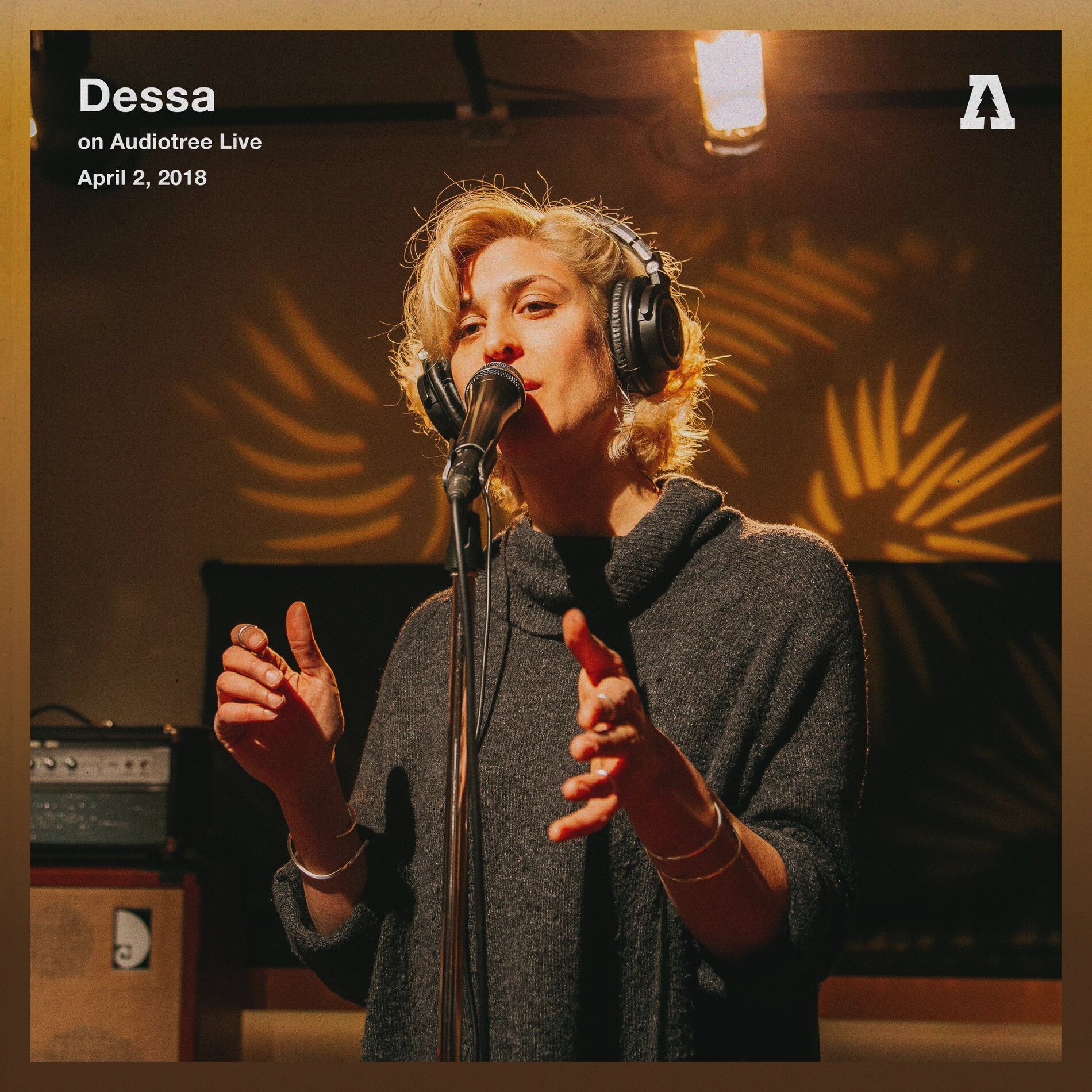 Album cover of Dessa on Audiotree Live (Session #2)