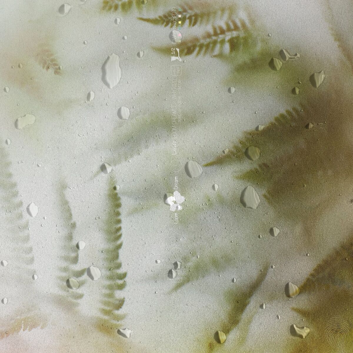 Album cover of Mimosa