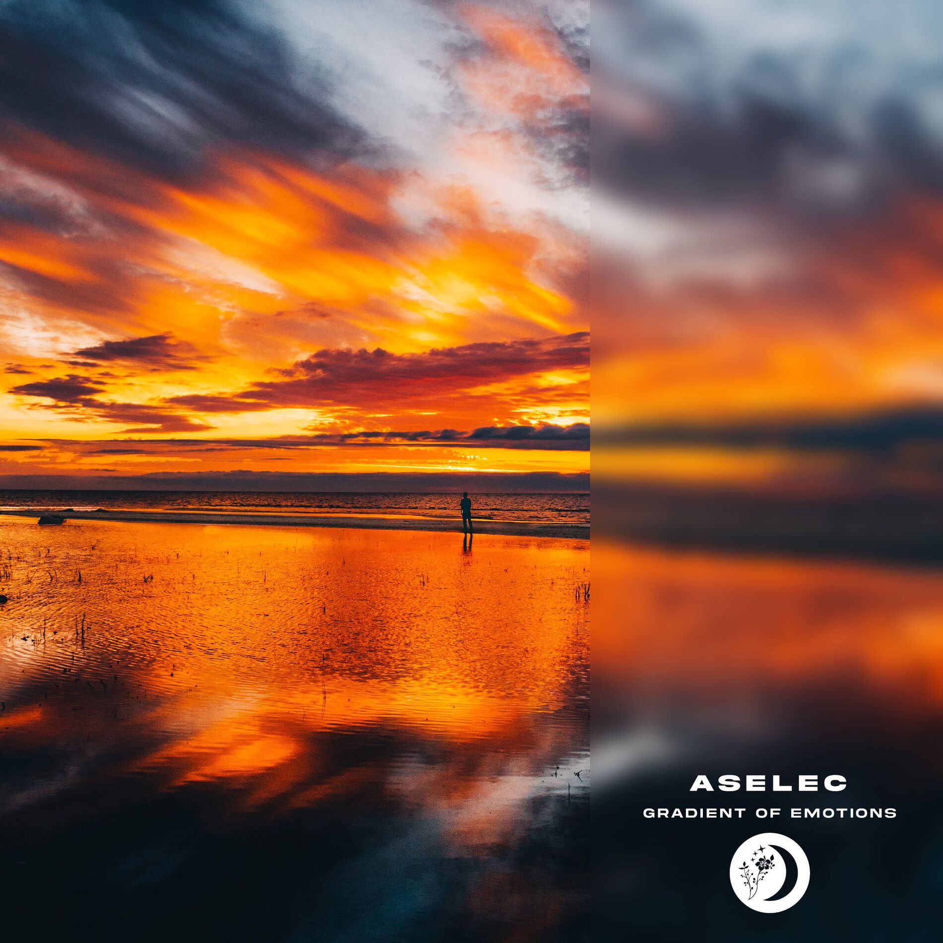 Album cover of The Ark
