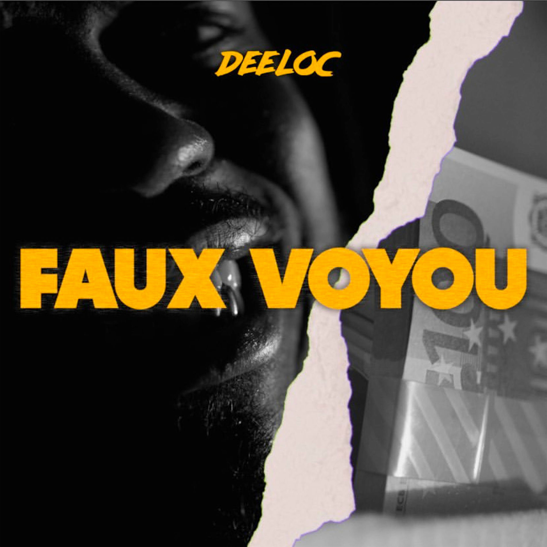 Album cover of FAUX VOYOU