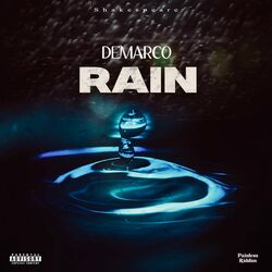 Cover of Rain