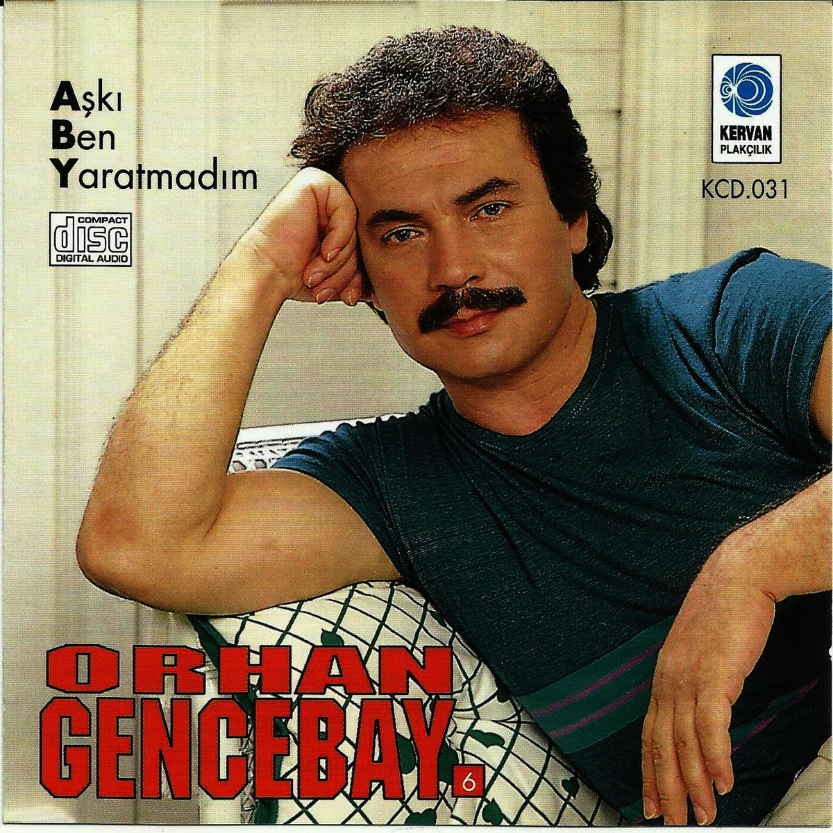 Album cover of Nereden Bileceksin
