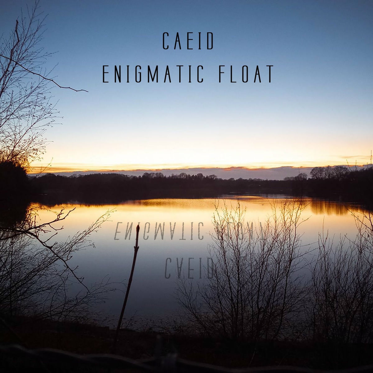 Album cover of Enigmatic Float