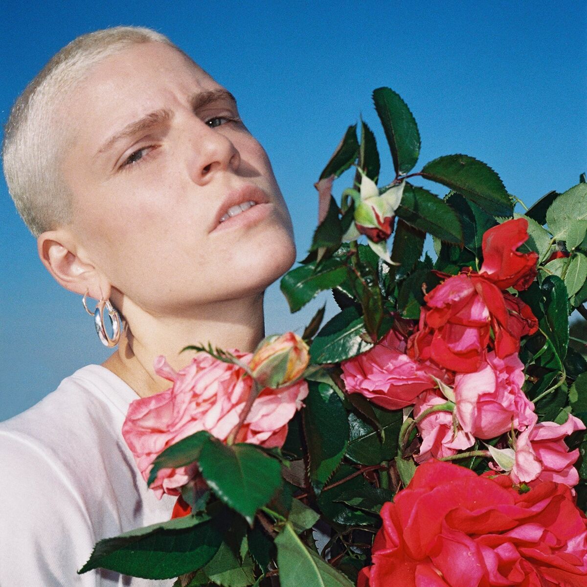 Album cover of Elle a les yeux revolver