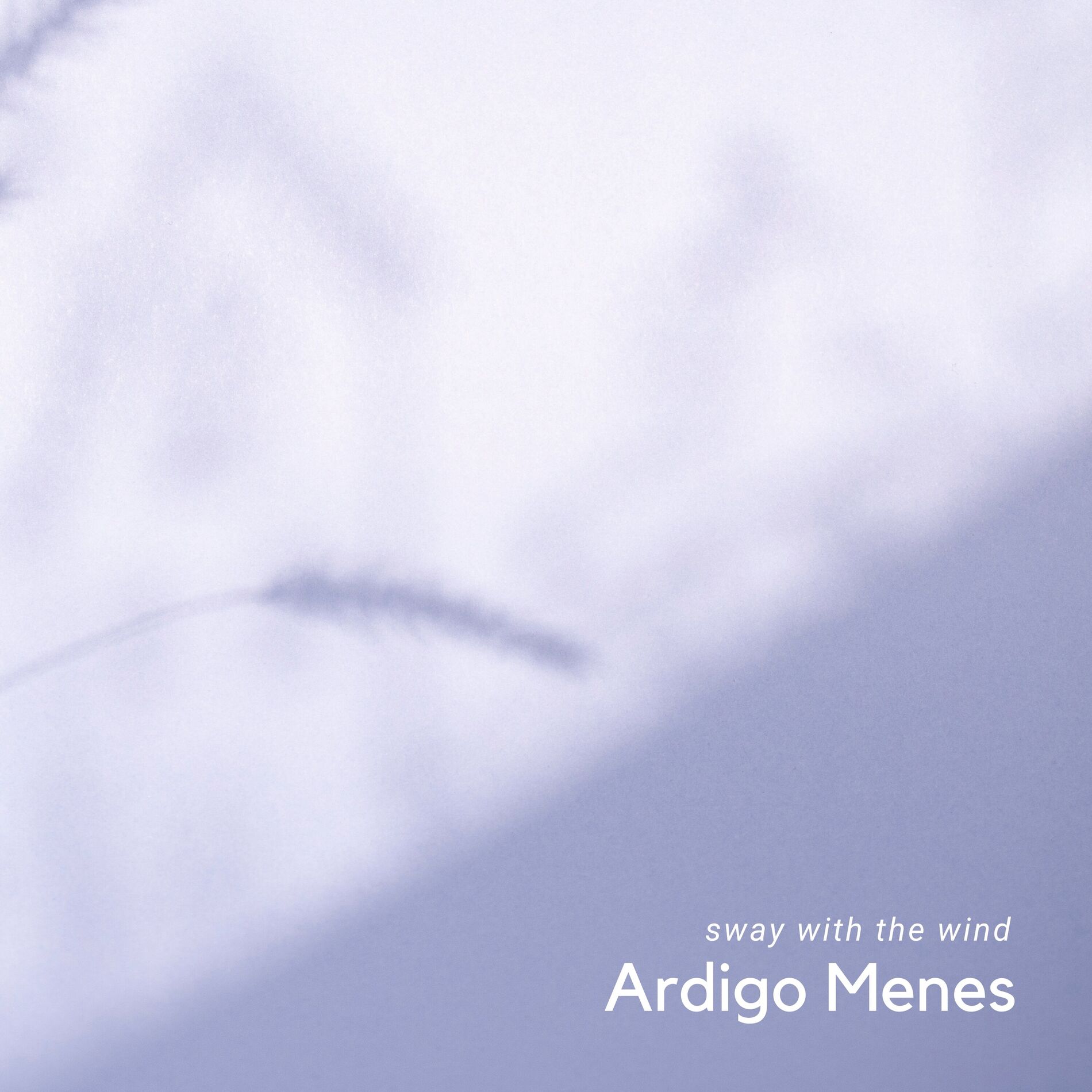 Album cover of Sway With The Wind