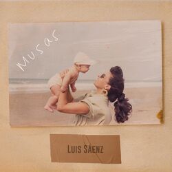 Cover of Musas