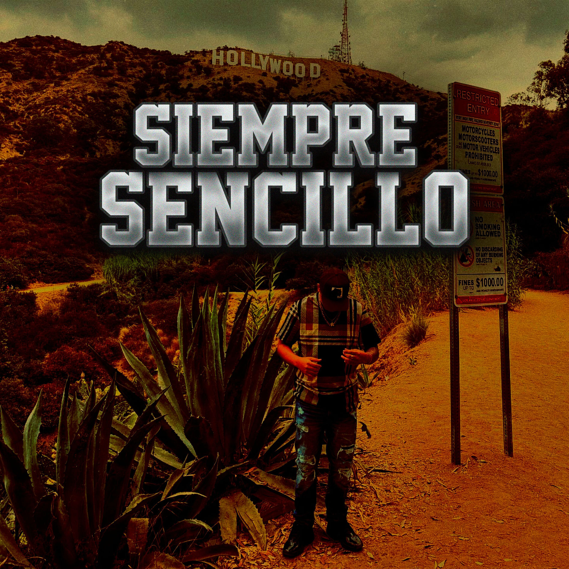 Album cover of Siempre Sencillo