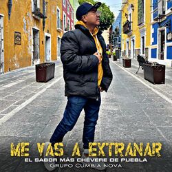 Cover of Me Vas a Extrañar