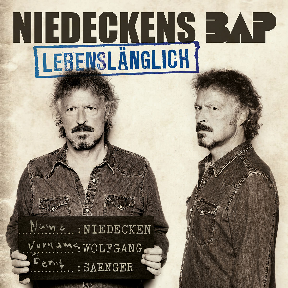 Album cover of Lebenslänglich