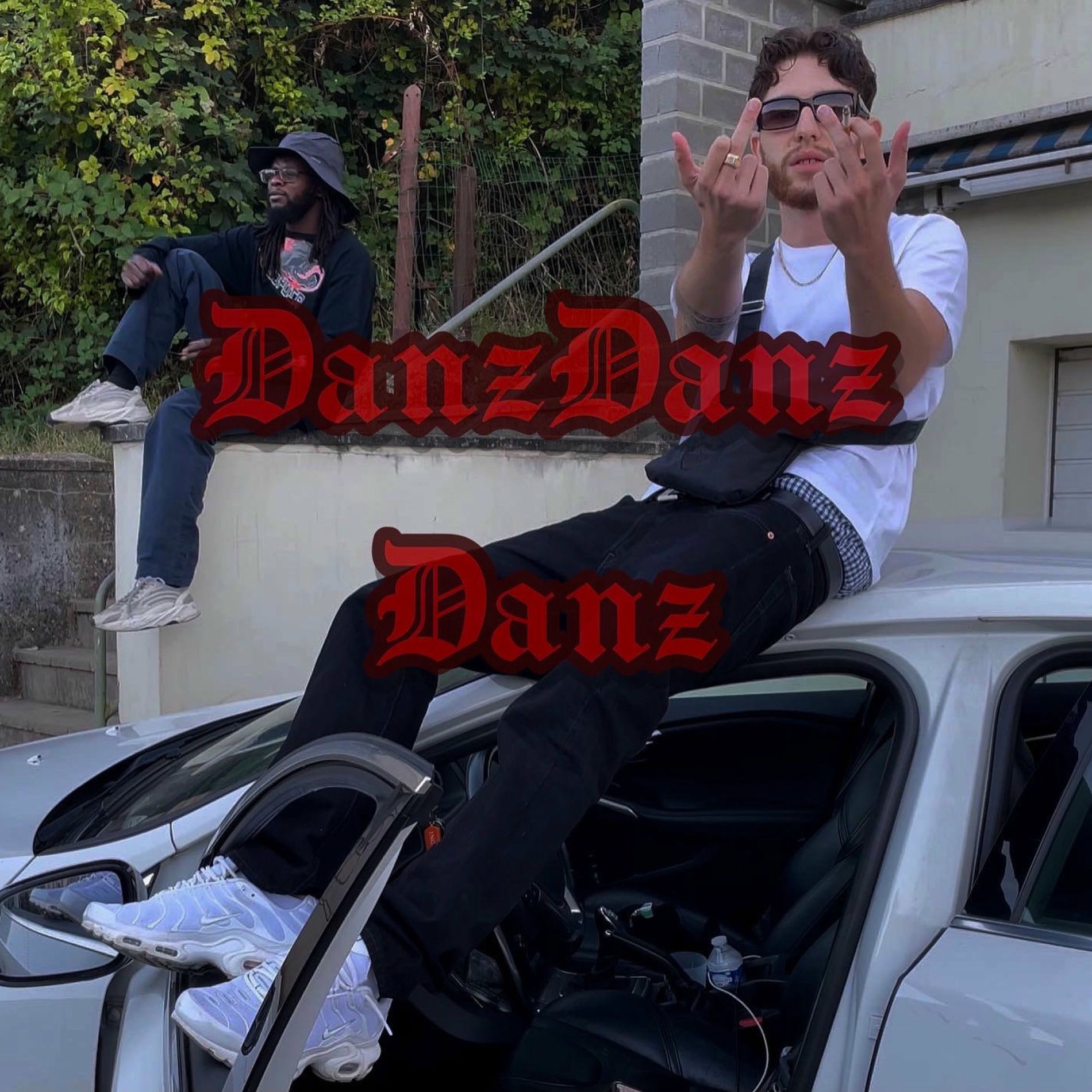 Album cover of Danz