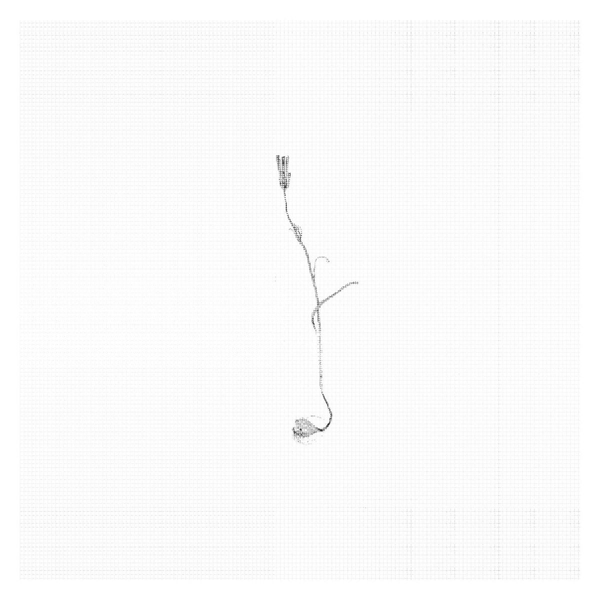 Album cover of Consolation No. 3 in D-Flat Major