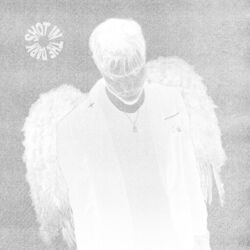 Cover of SHOT IN THE DARK