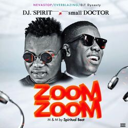 Cover of Zoom Zoom