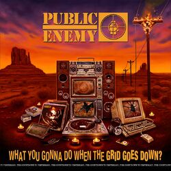 Cover of What You Gonna Do When The Grid Goes Down?