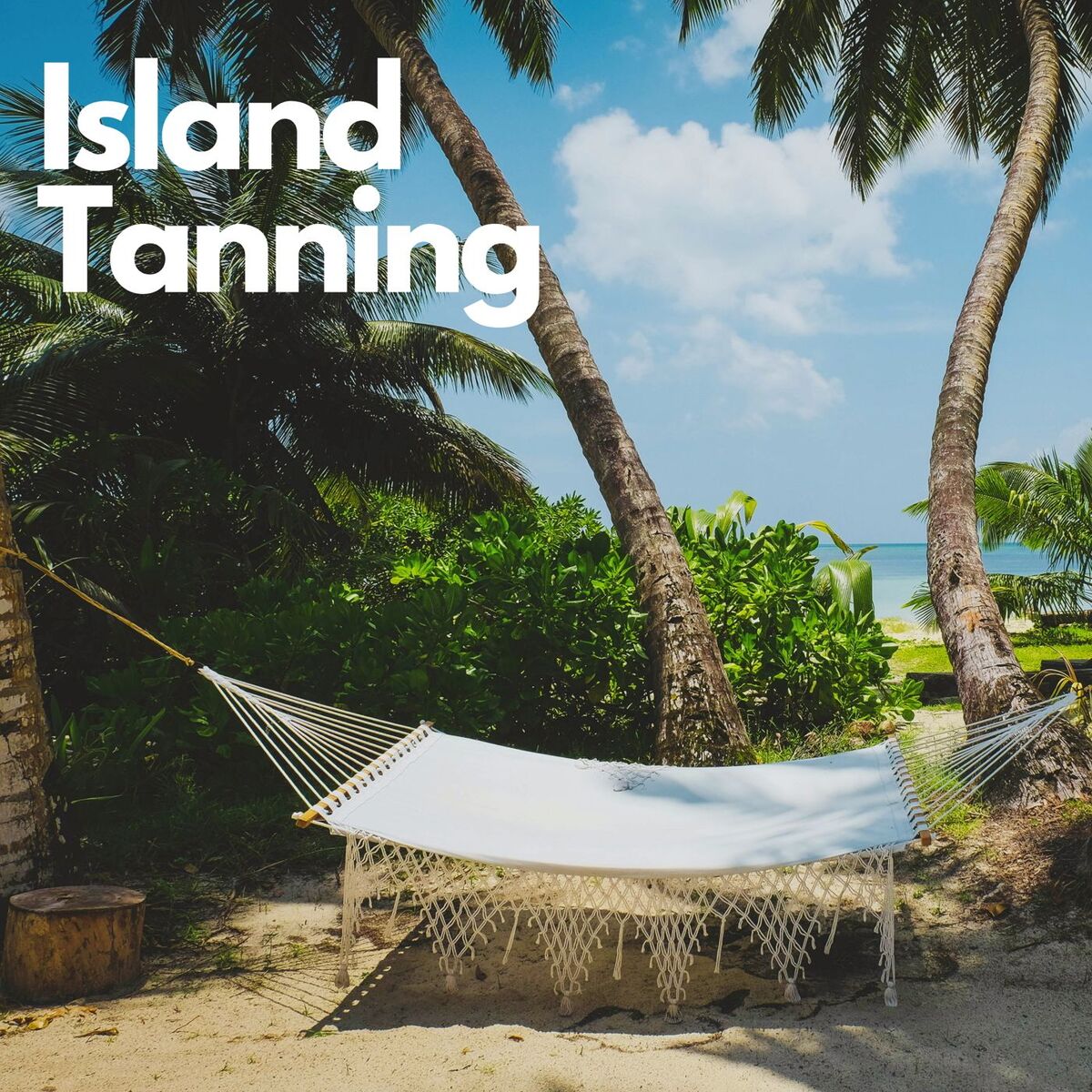 Album cover of Island Tanning