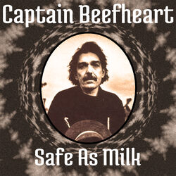Cover of Safe As Milk