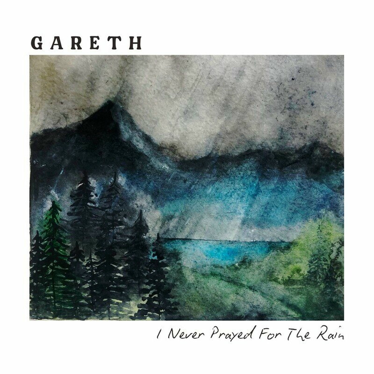 Album cover of I Never Prayed For The Rain