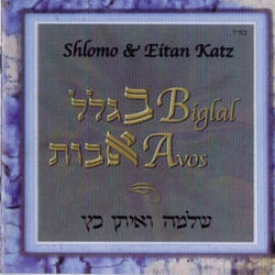 Cover of Biglal Avos
