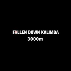 Cover of Fallen Down Kalimba
