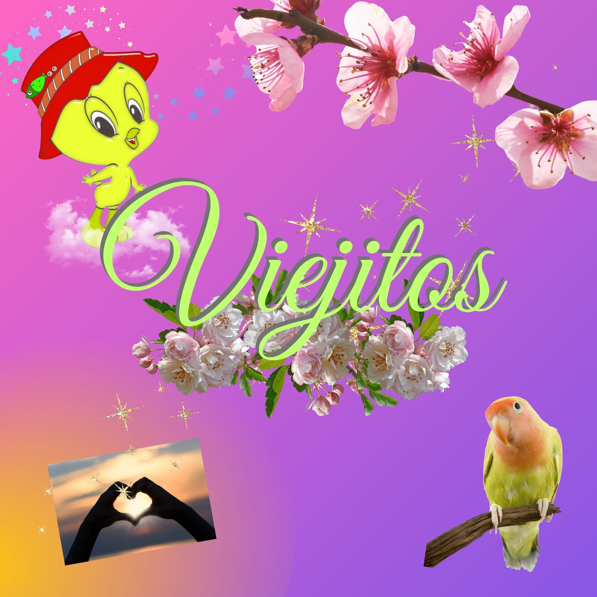 Album cover of Viejitos