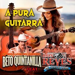 Cover of A Pura Guitarra (Acústico)