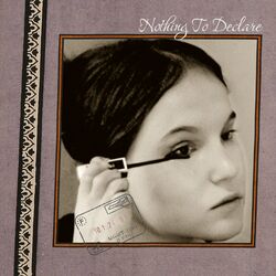 Cover of Nothing To Declare