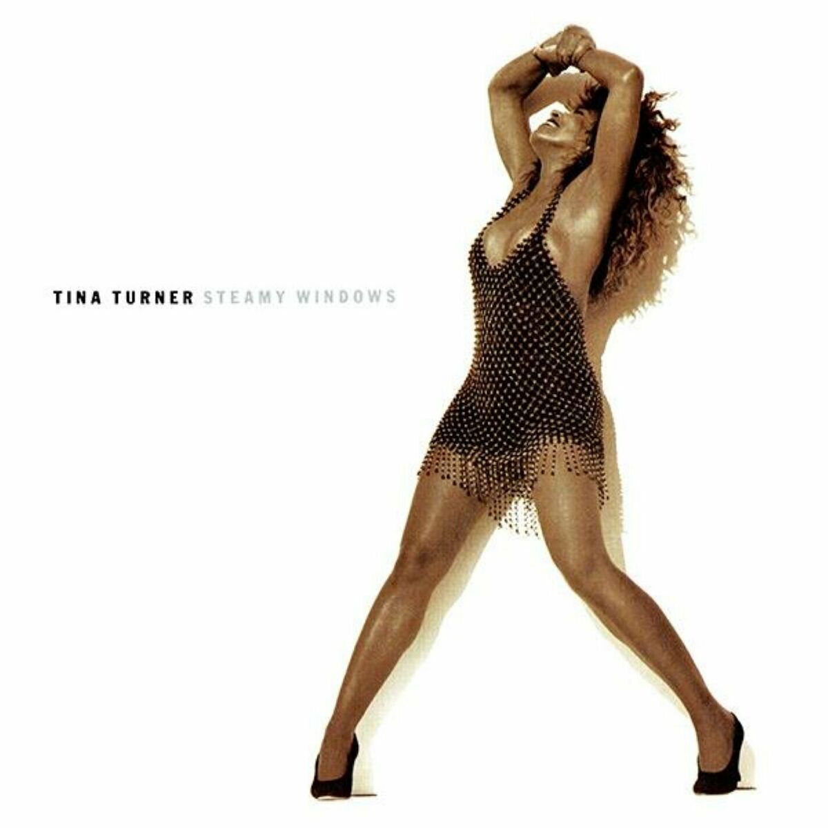Album cover of Steamy Windows (The Singles)