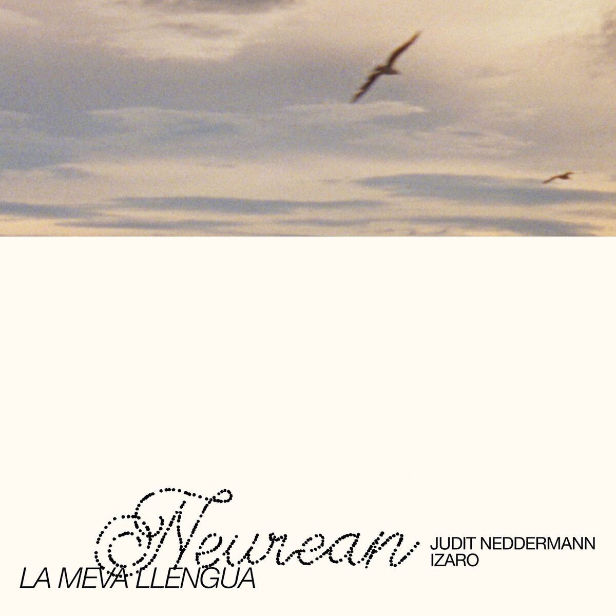 Album cover of Neurean / La Meva Llengua