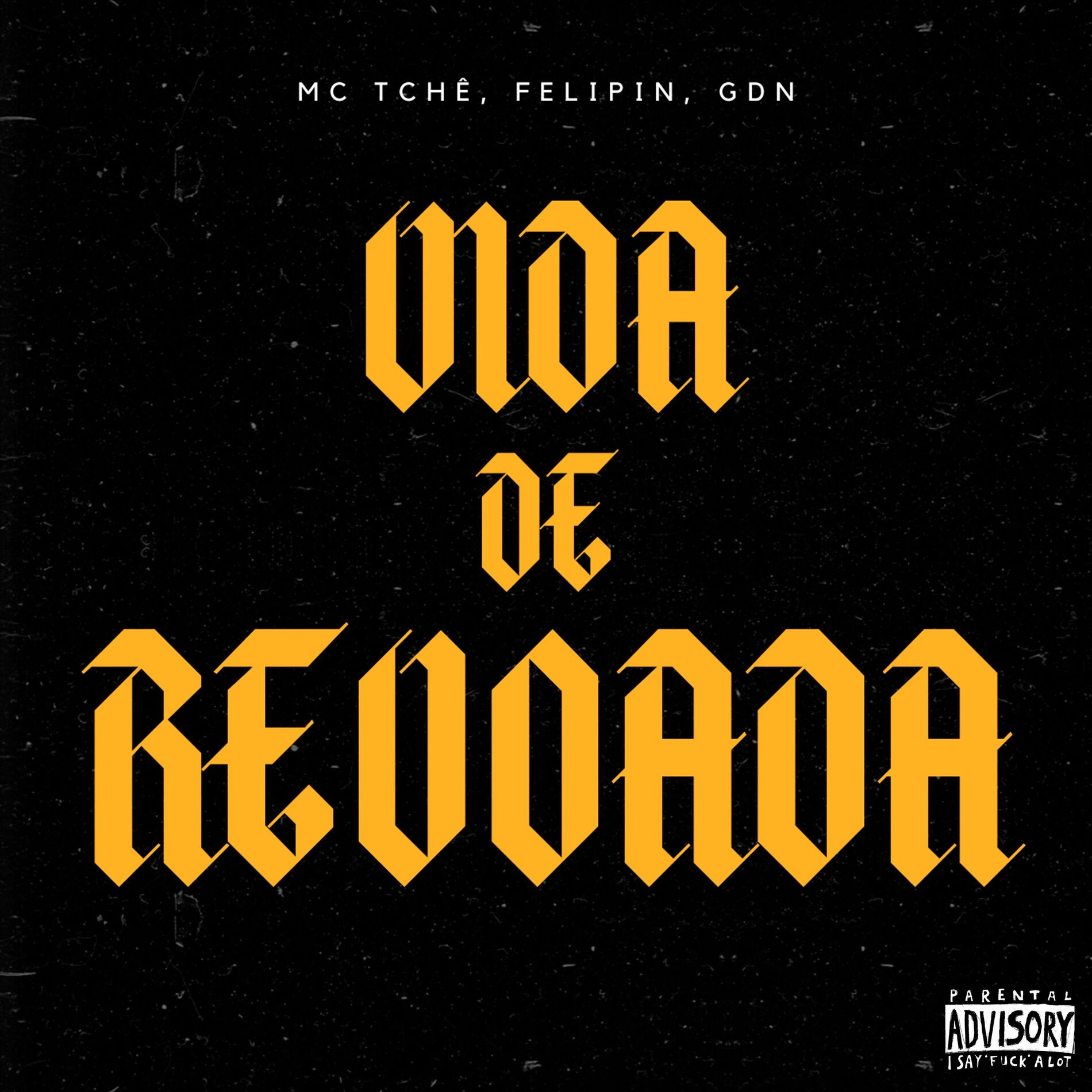 Album cover of Vida de Revoada