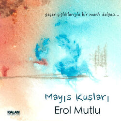 Cover of Mayıs Kuşları