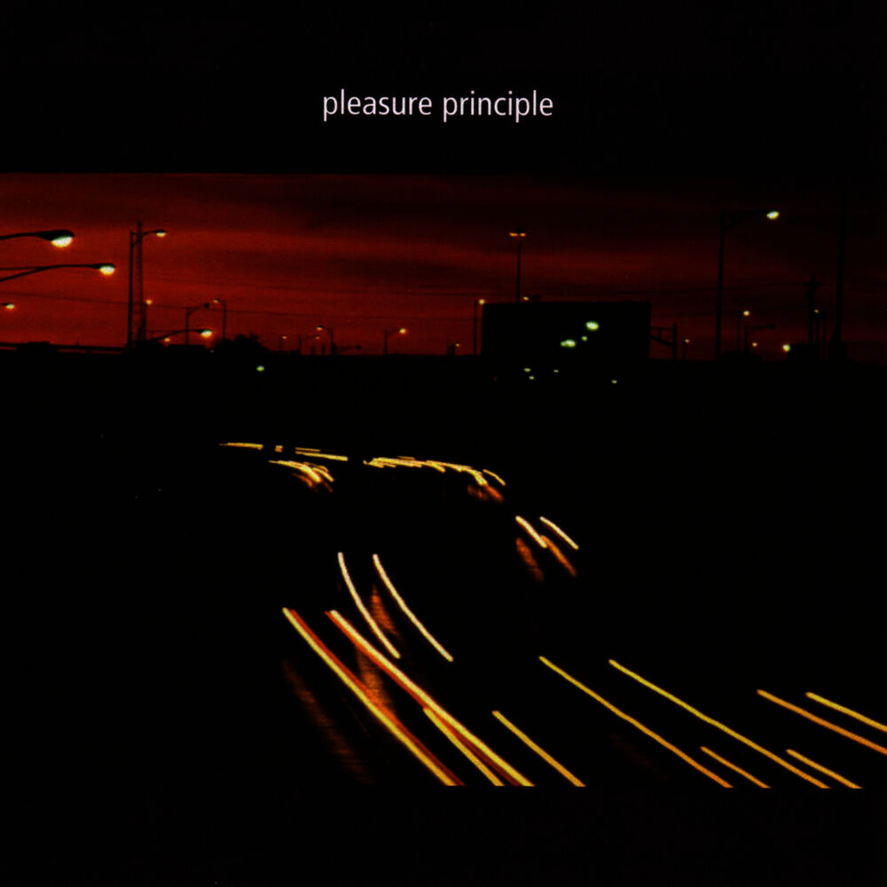 Picture of Pleasure Principle